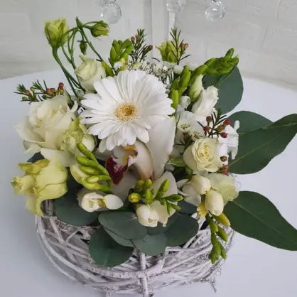 Aranjament Delicat în Coș de Răchită Alb cu Trandafiri Albi, Frezii, Eucalipt, Wax Flower și Gerbera