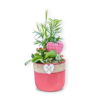 Aranjament cu Plante în Vas Roșu cu Inimă