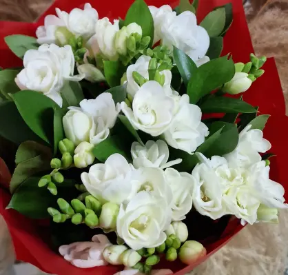 Buchet din Frezii Parfumate
