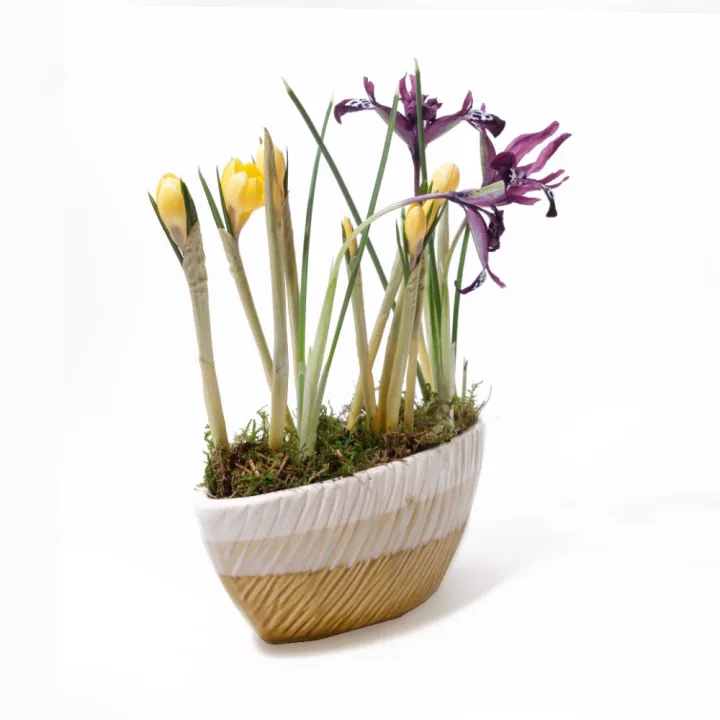 Aranjament Primăvară cu Iris Mov, Bulb de Crocus și Mușchi natural – Vas Ceramic